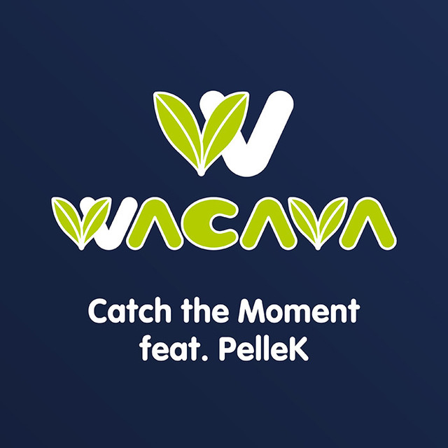 Wacava Catch The Moment Feat Pellek