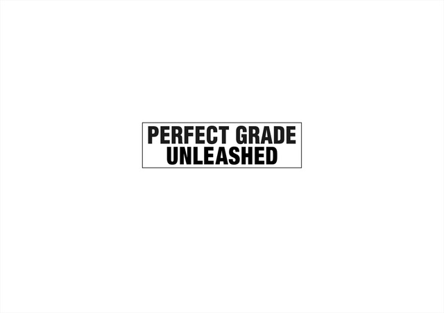 Perfect Grade Unleashed 1 60 Scale Rx 78 2 Gundam