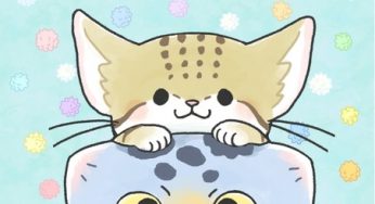 Nippon Animation, known for”Chibi Maruko-chan”, “World Masterpiece Theater”, will be in charge of an anime adaptation of 4-strip manga publishing on SNS “Okashina sabaku no suna to manu”!